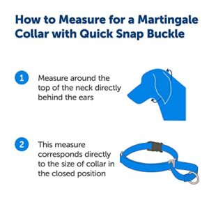 PetSafe Martingale Collar with Quick Snap Buckle, 3/4" Medium, Royal Blue