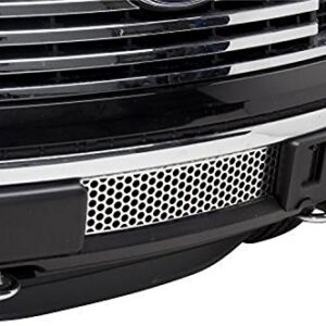 Putco 84182 Ecoboost Punch Design Bumper Grille Insert for Ford F150