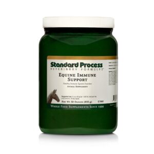 standard process equine immune support - whole food horse supplies for immune support with whey protein, magnesium citrate, kale, sunflower lecithin, l-glutamine, turmeric root - 30 ounce