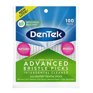 dentek deep clean bristle picks 100 count