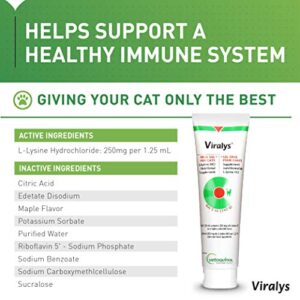 Vetoquinol Viralys Gel L-Lysine Supplement for Cats, 5oz - Cats & Kittens of All Ages - Immune Health - Sneezing, Runny Nose, Squinting, Watery Eyes - Palatable Maple Flavor Lysine Gel