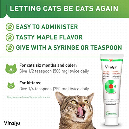 Vetoquinol Viralys Gel L-Lysine Supplement for Cats, 5oz - Cats & Kittens of All Ages - Immune Health - Sneezing, Runny Nose, Squinting, Watery Eyes - Palatable Maple Flavor Lysine Gel