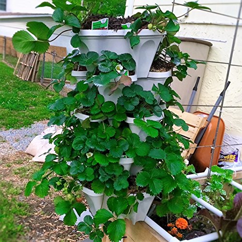 Mr. Stacky 5 Tiered Vertical Gardening Planter, Indoor & Outdoor