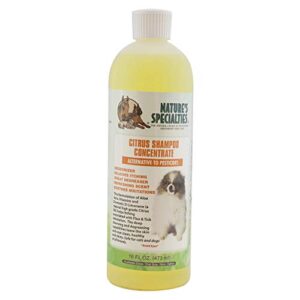 nature's specialties citrus ultra concentrated dog shampoo for pets, makes up to 2 gallons, natural choice for professional groomers, alternative to shampoo, made in usa, 16 oz