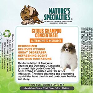 Nature's Specialties Citrus Ultra Concentrated Dog Shampoo for Pets, Makes up to 2 Gallons, Natural Choice for Professional Groomers, Alternative to Shampoo, Made in USA, 16 oz