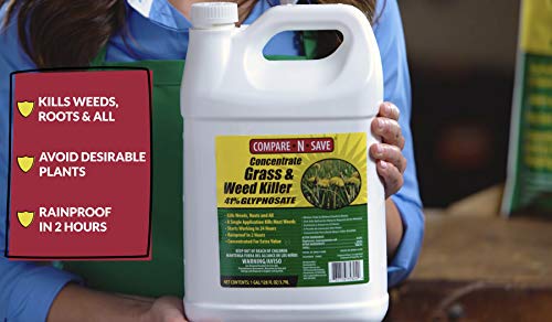 Compare-N-Save 75325 Herbicide, 2.5-gallon, white