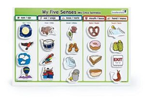 excellerations my 5 senses magnetic activity set, 12 x 18 inches, pack of 55, educational stem toy, preschool, kids toys (item # sensemag)