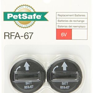 PetSafe 6-Volt Lithium Battery (Pack of 6)