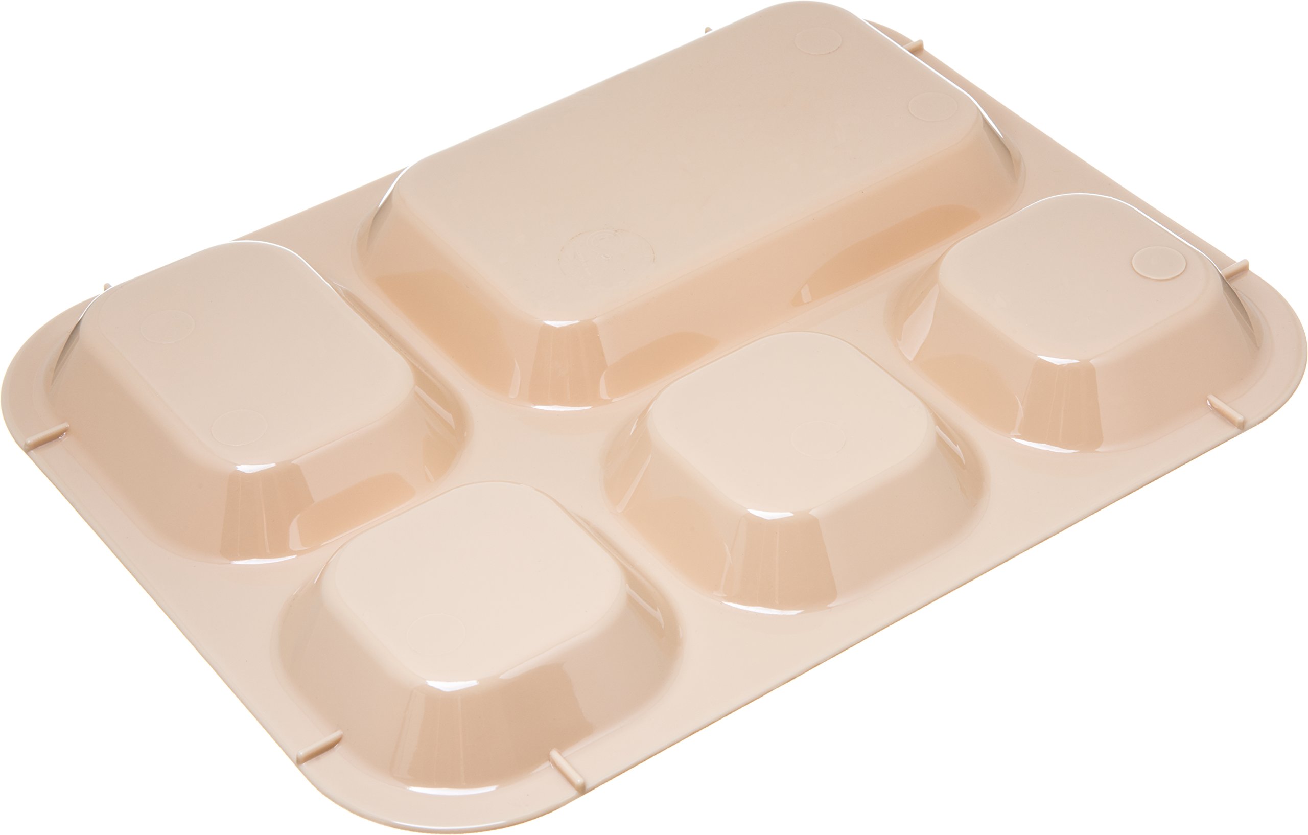 Polycarbonate 5-Compartment Tray