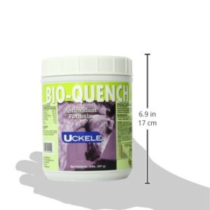 Uckele Bio-Quench Supplement for Pets, 2-Pound