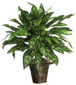 nearly natural 6615 silver king with basket decorative silk plant, green