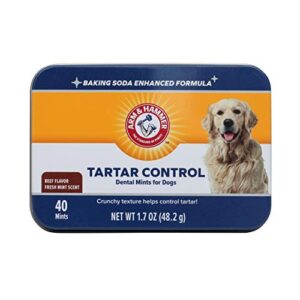 arm & hammer for pets tartar control dental mints for dogs | dog dental mints help reduce plaque & tartar buildup without brushing | beef flavor, 40 count