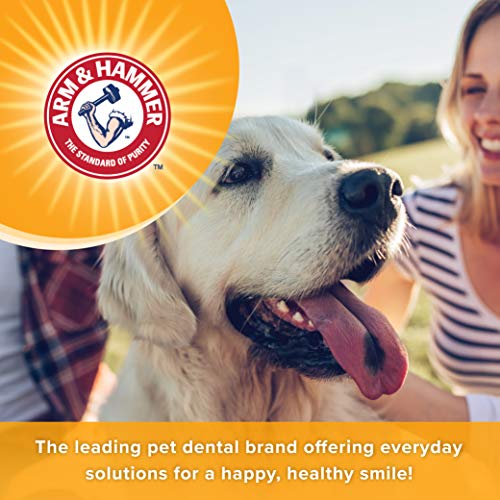 Arm & Hammer for Pets Tartar Control Dental Mints for Dogs | Dog Dental Mints Help Reduce Plaque & Tartar Buildup Without Brushing | Beef Flavor, 40 Count