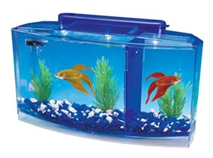 penn-plax deluxe triple betta bow tank kit – safely divided compartments – white and blue led display lights – includes under gravel filter & plastic plants – 0.7 gallon in blue