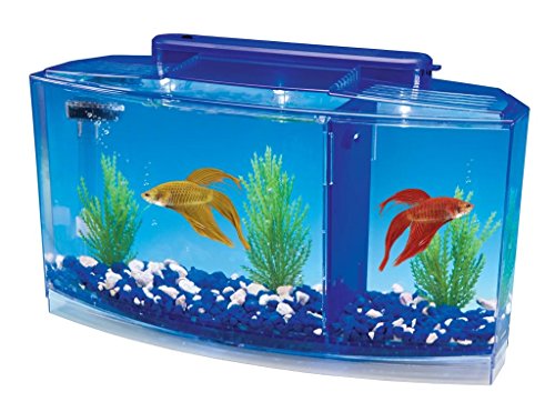 PENN-PLAX Deluxe Triple Betta Bow Tank Kit – Safely Divided Compartments – White and Blue LED Display Lights – Includes Under Gravel Filter & Plastic Plants – 0.7 Gallon in Blue