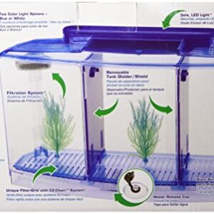 PENN-PLAX Deluxe Triple Betta Bow Tank Kit – Safely Divided Compartments – White and Blue LED Display Lights – Includes Under Gravel Filter & Plastic Plants – 0.7 Gallon in Blue