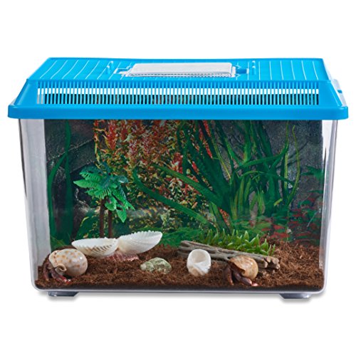 Live Pet Hermit Crab Complete Starter Kit - Shipped with 2 Live Crabs