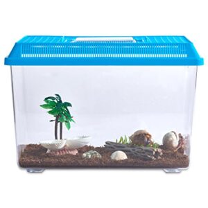 Live Pet Hermit Crab Complete Starter Kit - Shipped with 2 Live Crabs