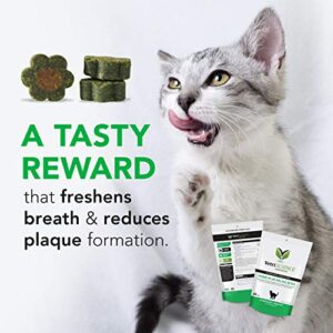 VetriScience Perio Plus Teeth Cleaning Treats for Cats, Chicken, 60 Chews - Plaque Control, Fresh Breath and Gum Health for Cats