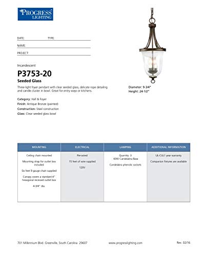 Progress Lighting P3753-20 Seeded Glass Hall & Foyer, Bronze