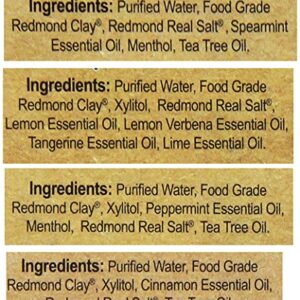 REDMOND Earthpaste All Natural Non-Fluoride Vegan Non GMO Real Ingredients Toothpaste (Variety Pack (Lemon, Wintergreen, Cinnamon, Pep)), 4 Ounce (Pack of 4)