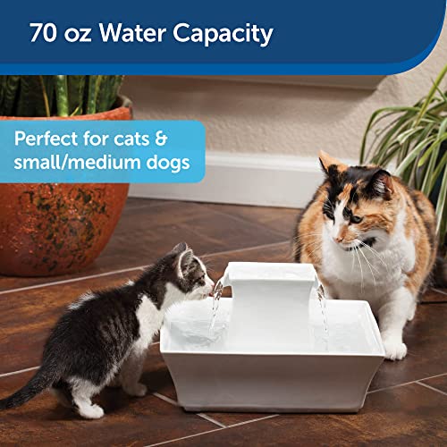 Drinkwell Pagoda Pet Fountain - From PetSafe in Knoxville, TN - Dog Water Bowl Dispenser - Multiple Angles to Drink From - Filters Included - Dog Fountain Provides Water When Power’s Out - White