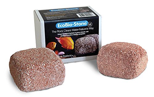 EcoBio-Block 2-Pack Stone for Aquariums, Medium - Natural Water Clarifier and Odor Remover, Treats 30 to 80 Gallons