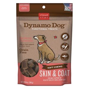 cloud star dynamo dog skin & coat treats – chewy treat with fish oil for shiny coat (14 oz. salmon)