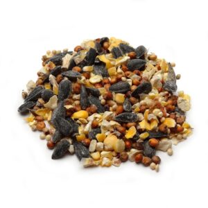 Audubon Park 12249 Wild Bird Food, 5-Pounds