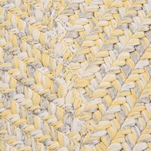 Catalina Polypropylene Braided Rug, 7-Feet by 9-Feet, Sun-Soaked