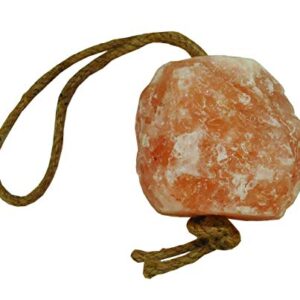 Horsemen's Pride Himalayan Salt Block on Rope for Horses, 2.2 Pounds, SS22