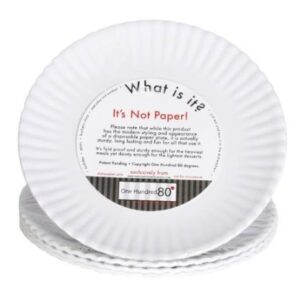 "What Is It?" LARGER SIZE 11-inch Reusable White Dinner Plate, Melamine, Set of 4