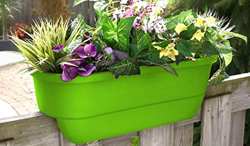 Apollo Exports International AP-5720/MG/2, Margarita, 24" Dual Deck Railing Planter, (Set of 2)