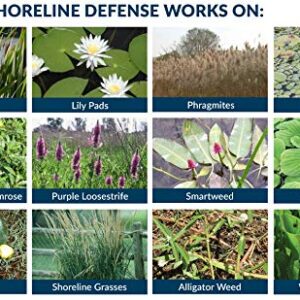 Airmax Shoreline Defense Aquatic Herbicide - 1 Quart (32 Ounce)