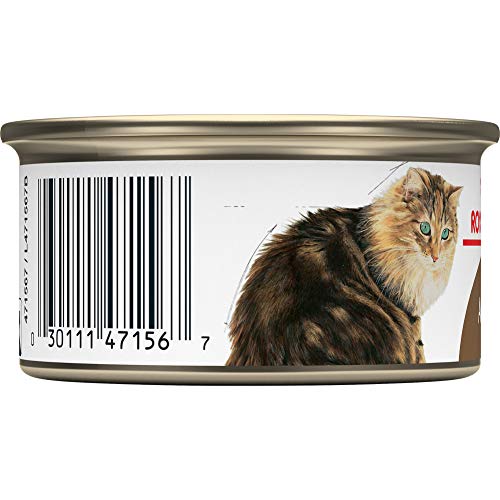 Royal Canin Aging 12+ Thin Slices in Gravy Canned Cat Food, 3 oz cans