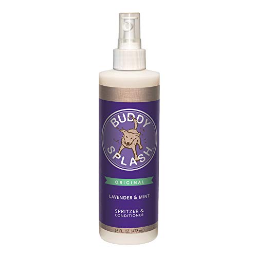 Buddy Biscuits Splash Dog Deodorizer & Conditioner, Easy Spray On with Botanical Extracts, Lavender & Mint 16 oz (15402)