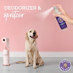 Buddy Biscuits Splash Dog Deodorizer & Conditioner, Easy Spray On with Botanical Extracts, Lavender & Mint 16 oz (15402)