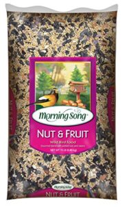 morning song 11988 nut and fruit wild bird food, 15-pound