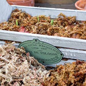 SuperMoss (22330) Orchid Sphagnum Moss Dried, Natural, 2.1lbs Small Bale