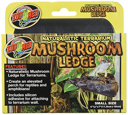 Naturalistic Terrarium Mushroom Ledge