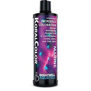 brightwell aquatics koralcolor - marine water conditioner increases coloration in corals, clams & other allies, 500-ml