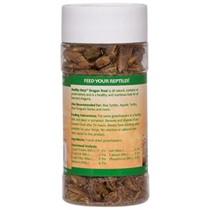 Healthy Herp Dragon Treat Grasshoppers 0.56-Ounce (15.88 Grams) Jar