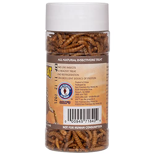 Healthy Herp Insectivore Reptile Treat Mealworms 0.95-Ounce (27 Grams) Jar