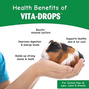 OASIS # 80061 Guinea Pig Vita Drop, 2-Ounce