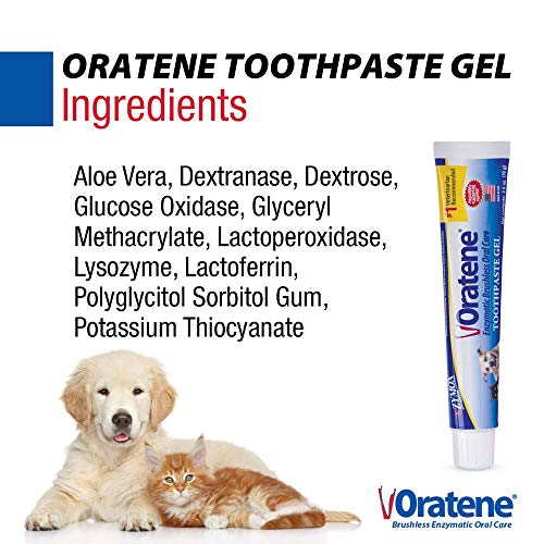 Oratene Brushless Toothpaste Gel for Dogs and Cats, 2.5oz