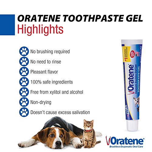 Oratene Brushless Toothpaste Gel for Dogs and Cats, 2.5oz