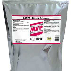 MSM+ Ester C (10lb) Immune Support for Horses