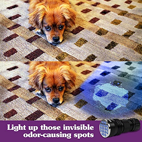 Simple Solution Spot Spotter HD UV LED Urine Detector | Spot and Eliminate Pet Urine Stains and Odors | 1 Light