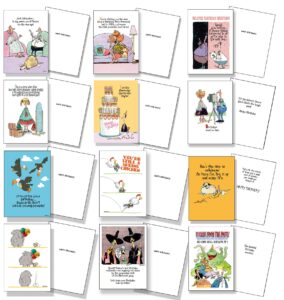 stonehouse collection vareity set of 12 funny birthday cards - birthday card assortment - usa made