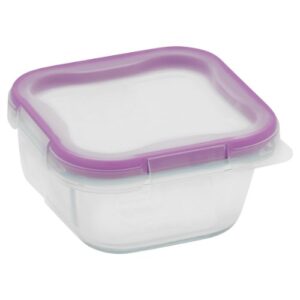 snapware 1-cup total solution square food storage container, glass